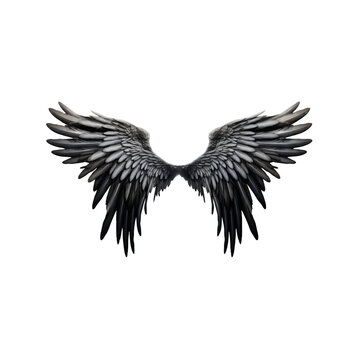 recommend clip art: Realistic angel demon black wings on white background