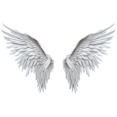 Realistic angel white wings on white background