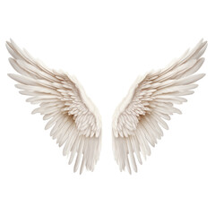 Fototapeta premium Realistic angel white wings on white background