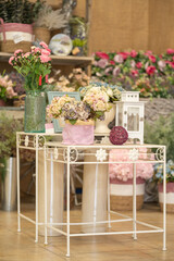 Floral Haven: Cozy Florist Shop