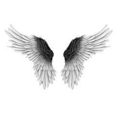 Obraz premium Realistic angel white wings on white background