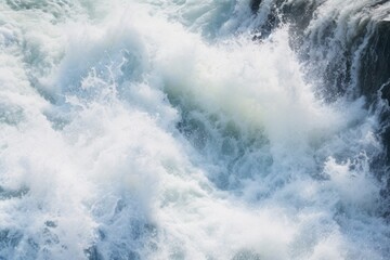 Powerful currents create turbulent white water.