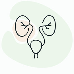 Urologists evaluate and manage urinary incontinence, which is the involuntary loss of bladder control