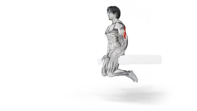 3d render of muscular character doing triceps workout