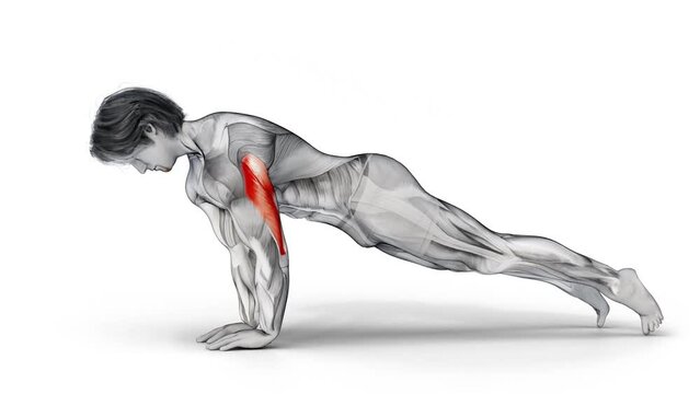 3d render of a muscular man doing push-ups on white isolated background