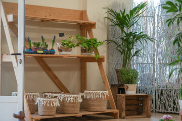 Indoor Garden on Wooden Shelves