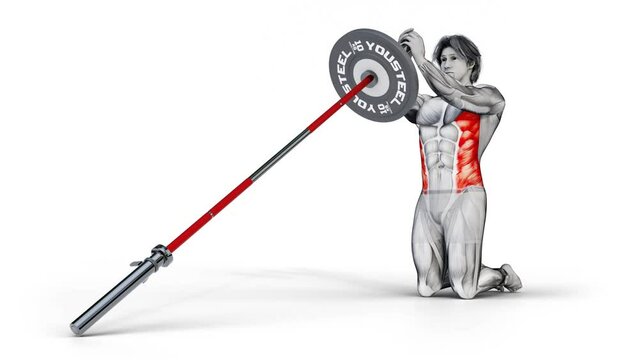 3d render of amuscular man training with barbell bar and weight plate on isolated white background