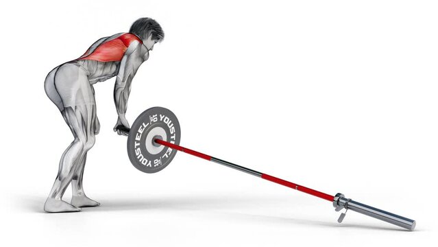 Illustration design of muscular character with dimensional shadow working out with barbell bar