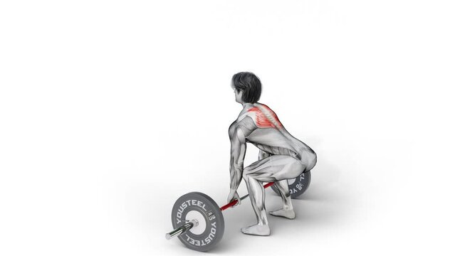 3d render design of muscular character with dimensional shadow deadlifting on isolated background