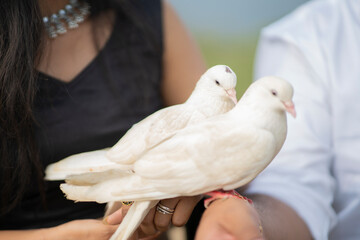 The bride and groom hold two white doves in their hands
