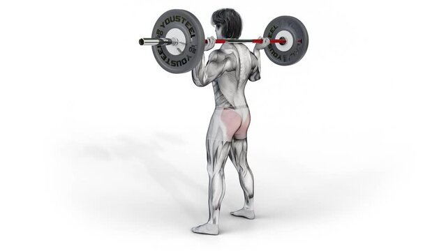 3d of muscular character training Glutes-Barbell Squat