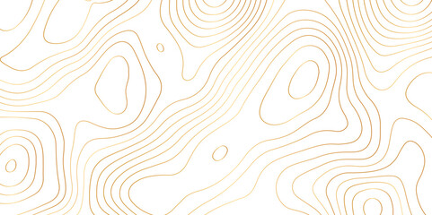 Abstract background with topographic contours map .white wave paper and geographic golden line abstract background .vector illustration of topographic line contour map design . - obrazy, fototapety, plakaty