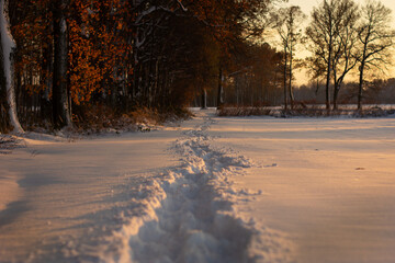 Droga w śniegu 