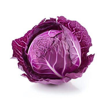 red cabbage isolated vegetables for food