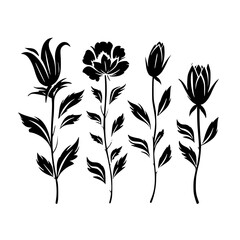  leaf vector, herb silhouette, silhouette plant, silhouette flower, silhouette floral, plantpot, leaf, tree, plant, nature, vector, bamboo, pattern, branch, silhouette, floral, flower, design, illustr