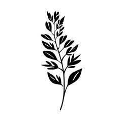  leaf vector, herb silhouette, silhouette plant, silhouette flower, silhouette floral, plantpot, leaf, tree, plant, nature, vector, bamboo, pattern, branch, silhouette, floral, flower, design, 