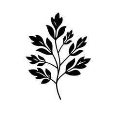  leaf vector, herb silhouette, silhouette plant, silhouette flower, silhouette floral, plantpot, leaf, tree, plant, nature, vector, bamboo, pattern, branch, silhouette, floral, flower, design, 