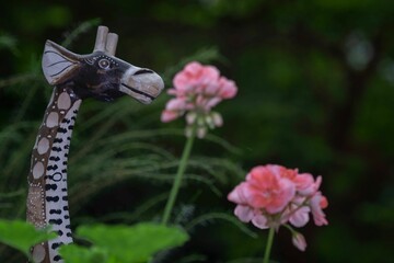 Obraz premium Garden figurine giraffe stands in a meadow of pink flowers