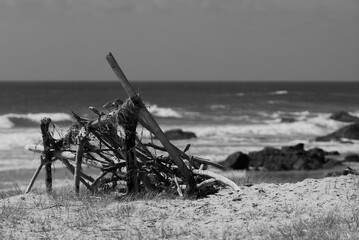 an old fashioned pile of branches sits in the sand by the ocean
