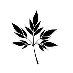  leaf vector, herb silhouette, silhouette plant, silhouette flower, silhouette floral, plantpot, leaf, tree, plant, nature, vector, bamboo, pattern, branch, silhouette, floral, flower, design, illustr