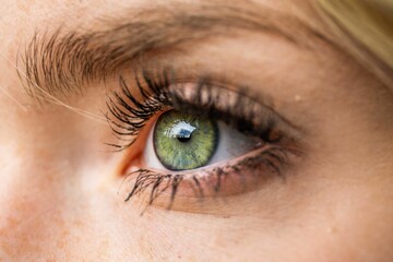 Fototapeta na wymiar Closeup of an attractive female's bright green eyes with long voluminous eyelashes
