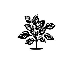  leaf vector, herb silhouette, silhouette plant, silhouette flower, silhouette floral, plantpot, leaf, tree, plant, nature, vector, bamboo, pattern, branch, silhouette, floral, flower, design, illustr