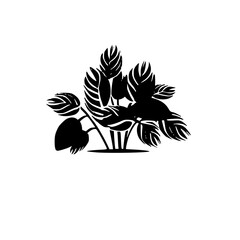  leaf vector, herb silhouette, silhouette plant, silhouette flower, silhouette floral, plantpot, leaf, tree, plant, nature, vector, bamboo, pattern, branch, silhouette, floral, flower, design, illustr