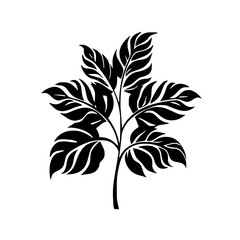 botanical svg, floral svg, flower svg, botanical clipart, floral clipart, flower clipart, wildflower svg, plant svg, floral bundle svg, line art svg, floral line art svg, Plants svg file, Cactus cut 