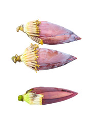 Top 2 banana flowers and Bottom 1 golden banana flower_004
