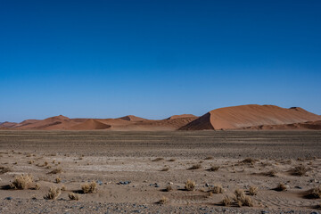 magical beauty yellow mountains, dry dead trees and a desert plain against the sky in the Namibian desert