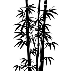 Fototapeta na wymiar Silhouette bamboo full body black color only