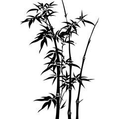 Obraz premium Silhouette bamboo full body black color only