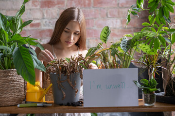 Portrait of teenage girl looking at dried houseplant with sign in foreground