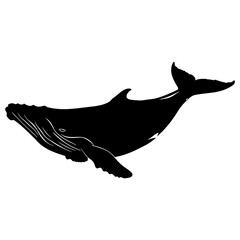 Silhouette whale black color only full body