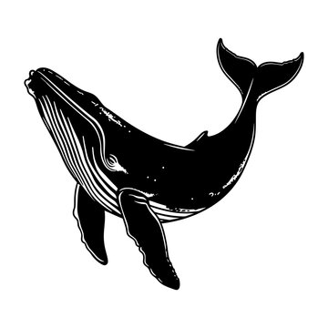 recommend clip art: Silhouette whale black color only full body