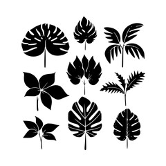 Leaf vector, herb silhouette, silhouette plant, silhouette flower, silhouette floral, silhouette plant, plantpot, leaf, tree, plant, nature, vector, bamboo, pattern, branch, silhouette, floral, flower