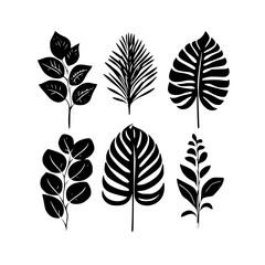 Leaf vector, herb silhouette, silhouette plant, silhouette flower, silhouette floral, silhouette plant, plantpot, leaf, tree, plant, nature, vector, bamboo, pattern, branch, silhouette, floral, flower