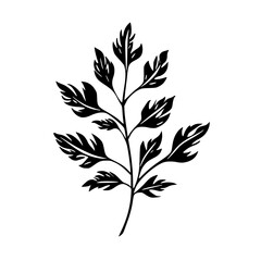 botanical svg, floral svg, flower svg, botanical clipart, floral clipart, flower clipart, wildflower svg, plant svg, floral bundle svg, line art svg, floral line art svg, Plants svg file, 