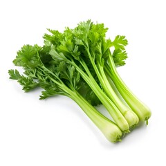 celery isolated vegetables for healthy food