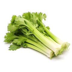 celery isolated vegetables for healthy food