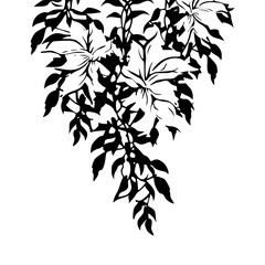 tree branch, branch, flower, floral, pattern, leaf vector, herb silhouette, silhouette plant, silhouette flower, silhouette floral, plantpot, leaf, tree, plant, nature, vector, bamboo, leaf, vector, 
