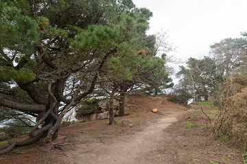 Fototapeta premium Joli paysage de la côte de granit rose- Ploumanac'h Bretagne France