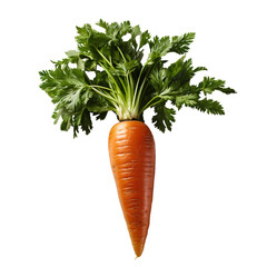 carrot png. carrots png. bunch of carrots isolated. carrots top view png. carrot flat lay png. organic vegetable