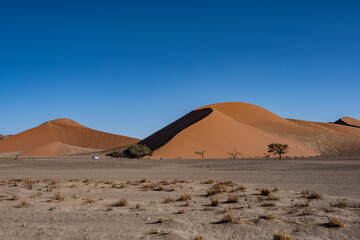 Fototapeta na wymiar magical beauty yellow mountains, dry dead trees and a desert plain against the sky in the Namibian desert