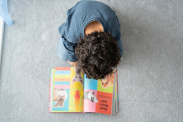 Overhead view of boy (6-7) reading book at home © Cultura Creative