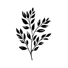 Silhouette rose, rose vector, flower svg, vector flower, herb, branch, line art, outline, eps, png, svg, flower, floral, vector, nature, leaf, rose, illustration, plant, design, vintage, pattern, flow