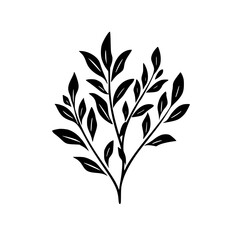 Silhouette rose, rose vector, flower svg, vector flower, herb, branch, line art, outline, eps, png, svg, flower, floral, vector, nature, leaf, rose, illustration, plant, design, vintage, pattern, flow