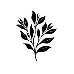 Silhouette rose, rose vector, flower svg, vector flower, herb, branch, line art, outline, eps, png, svg, flower, floral, vector, nature, leaf, rose, illustration, plant, design, vintage, pattern, flow