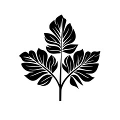 Silhouette rose, rose vector, flower svg, vector flower, herb, branch, line art, outline, eps, png, svg, flower, floral, vector, nature, leaf, rose, illustration, plant, design, vintage, pattern, flow