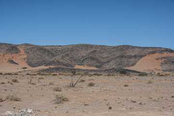 magical beauty yellow mountains, dry dead trees and a desert plain against the sky in the Namibian desert